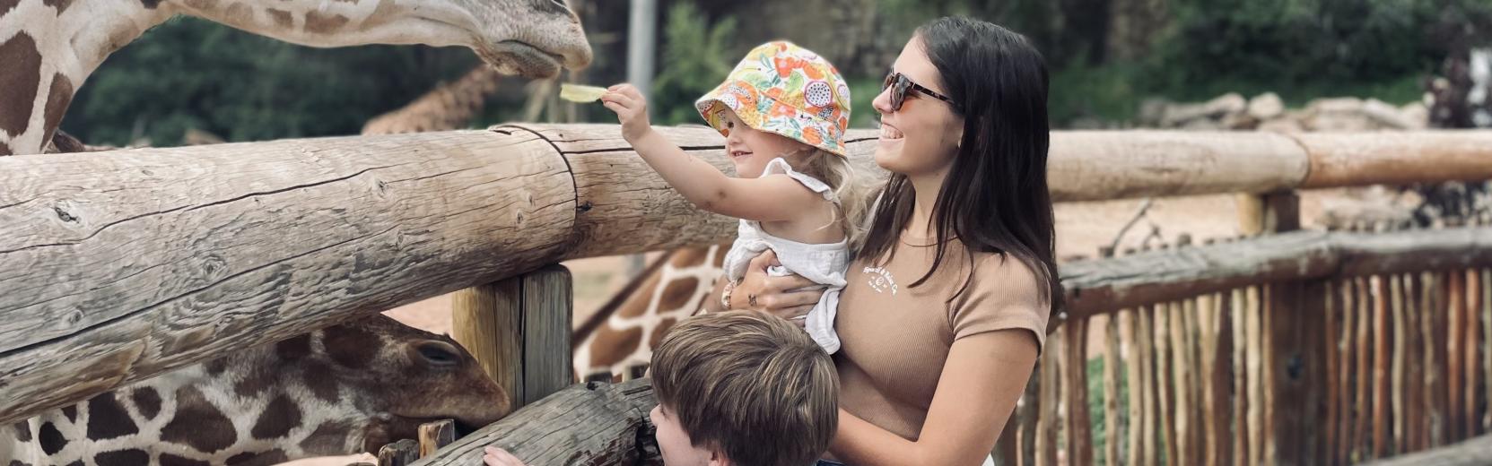 au pair with two little kids at the zoo, feeding giraffes